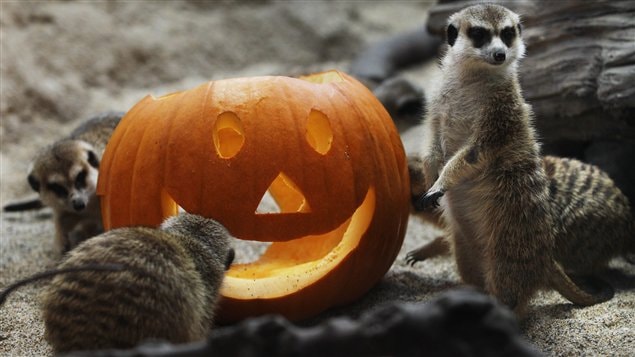 Halloween