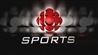 Bulletin de sports 