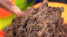 C.-B. : l'exportation de gaz naturel liquéfié soulève des inquiétudes
