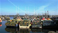 Une journée dans la vie d'un pêcheur
