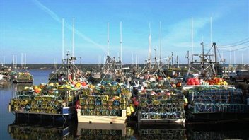 Les bateaux remplis de crabes