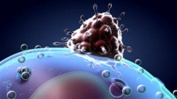 Le virus s'attaque à une cellule