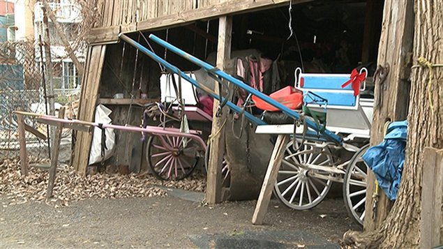 Le Horse Palace est l'une des plus vieilles écuries urbaines en Amérique du Nord. (SRC)