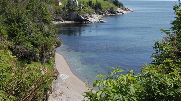 Le parc Forillon en Gaspésie. Photo: Cécile Gladel