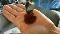 De la cuisine moléculaire maison