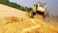 Commission canadienne du blé : fin du monopole?