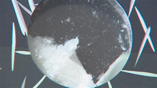 De la nanocellulose cristaline