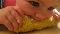 L'alimentation autonome des bébés