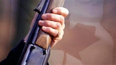 Arme à feu sur fond de feuille d'érable Arme à feu sur fond de feuille d'érable