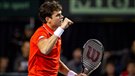 Raonic préféré à Pospisil