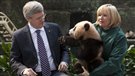 Harper en Chine : des contrats et des pandas