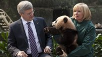 Harper en Chine : des contrats et des pandas