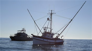 Un bateau de pêche au crabe