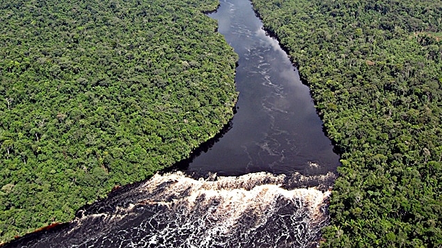 Amazonía