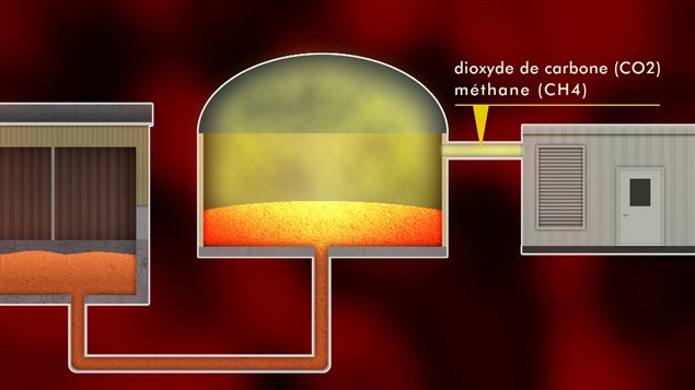 Un digesteur permet de capter les gaz produits par la décomposition. Un digesteur permet de capter les gaz produits par la décomposition.