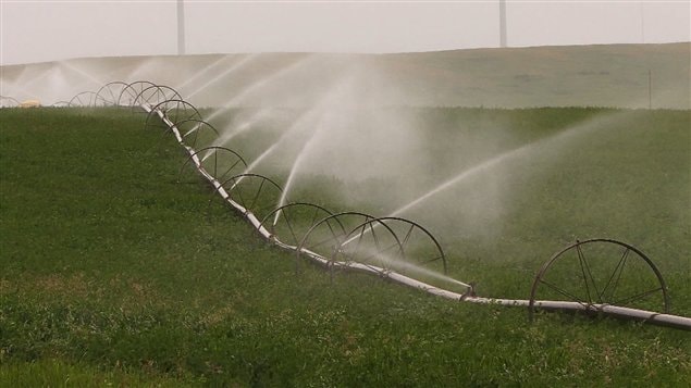 L'eau n'est pas r�partie �quitablement au Canada.