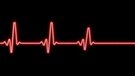 Horloge biologique et mort subite cardiaque : le lien