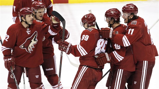 Coyotes de Phoenix