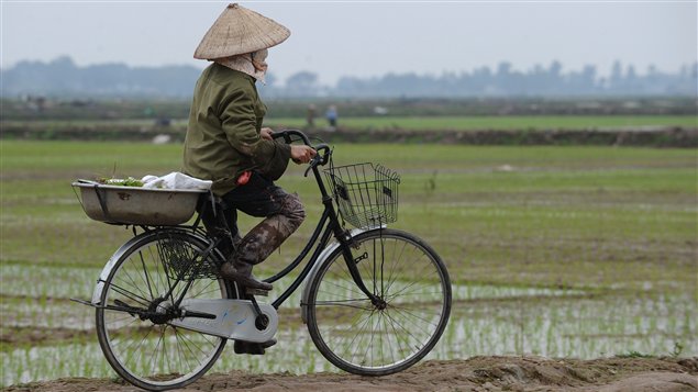 Vietnam, cada vez más lejos del modelo de país rural y subdesarrollado.