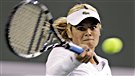 Wozniak flanche