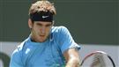 Del Potro absent