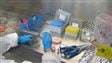 Nouveau complexe de recherche en sciences animales de l'Universit� Laval