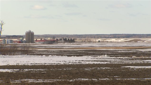 Agriculture