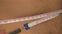 Un tour de taille