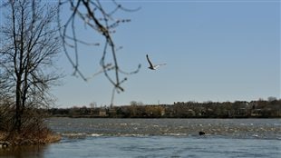 À la découverte d’un Laval campagnard