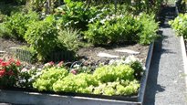 Les jardins communautaires