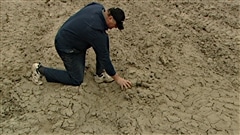  Un agriculteur observe le taux d'humidité dans ses champs.