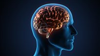 La fiction du cerveau