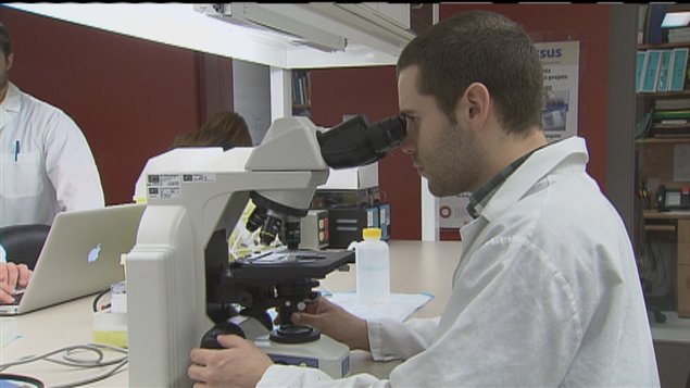 Laboratoire