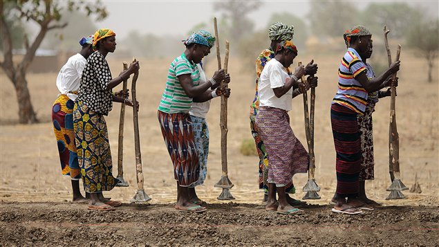 Des femmes creusent une digue pour y faire passer l'eau au Burkina Faso. 