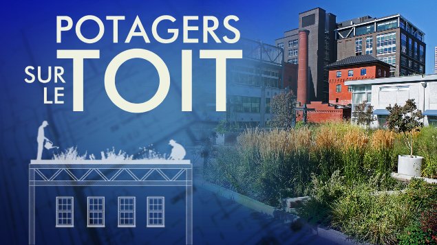 Potagers sur le toit Potagers sur le toit