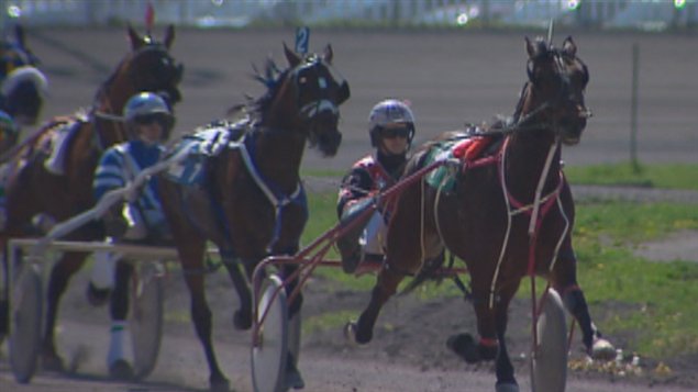 Courses de chevaux (archives)