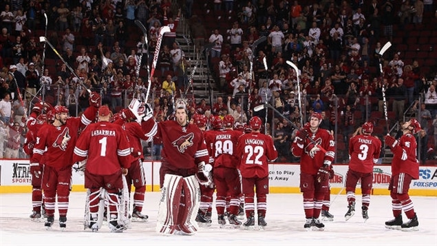 Les Coyotes de Phoenix