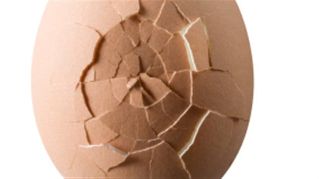 oeuf craqué brisé