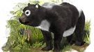 Un panda européen