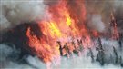 Des pompiers albertains envoyés au Québec pour combattre les feux