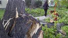 Violente tempête dans le sud du Manitoba