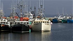 bateau-peche