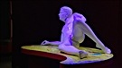 Exposition sur le sexe : le Musée ne comptabilise plus les plaintes