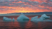 Vente aux enchères pour l'exploration dans l'océan Arctique