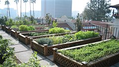 Des jardins urbains