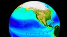Une vie au ralenti dans le sous-sol océanique