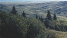 Les parcs de la Saskatchewan pris d'assaut en fin de semaine