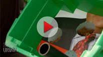Construisez votre bac à jardin