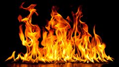 Des flambes