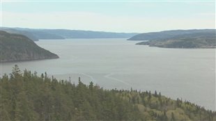 Deux terrains à vendre au Cap à l'Ouest